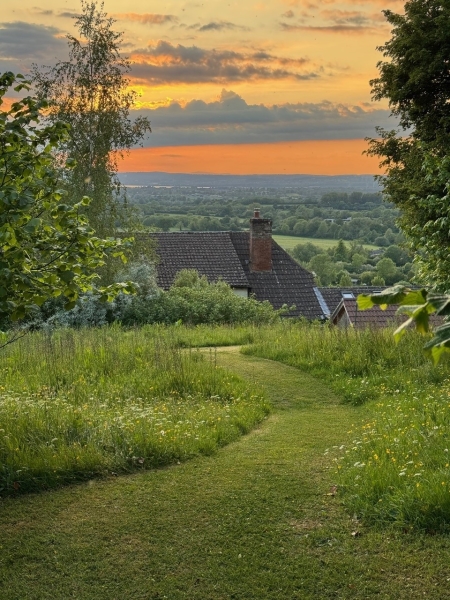 Frog Lane Flower Farm & Netherfields